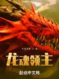 龙魂领主封面