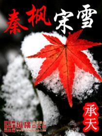 秦枫宋雪封面