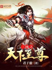 三国之天下至尊封面