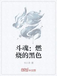 斗魂：燃烧的黑色封面